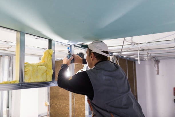 Best Local Insulation Services  in Lake Park, NC