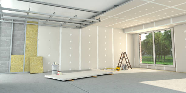 Best Insulation Removal  in Lake Park, NC