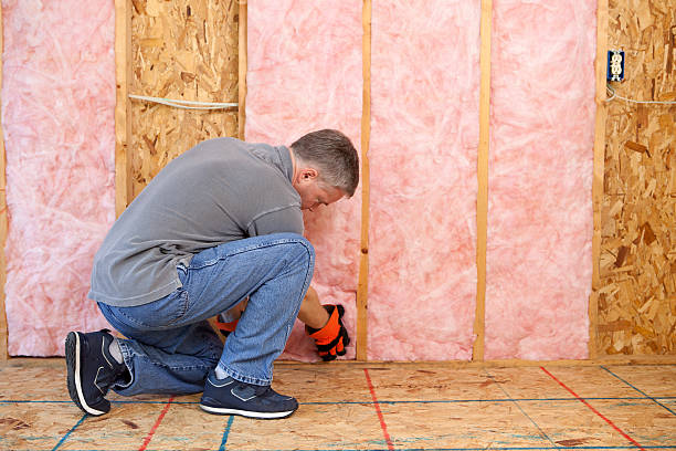 Best Local Insulation Services  in Lake Park, NC